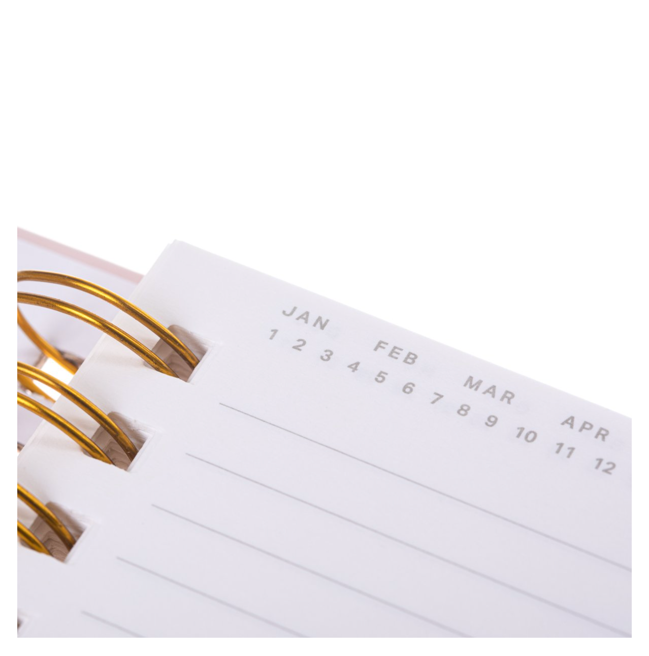 Dog Pattern Hard Cover Journal