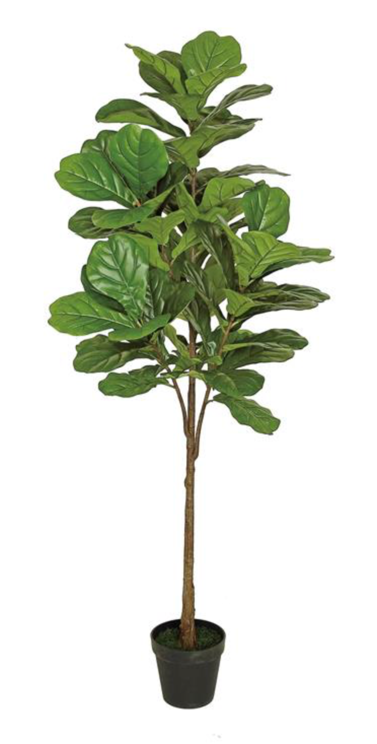72" Fiddle Leaf Fig Plant Pot