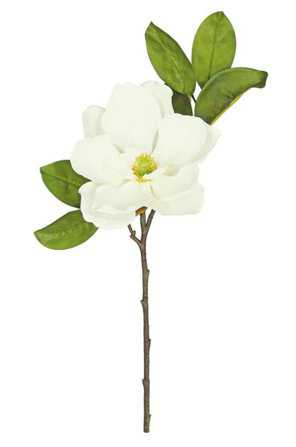23" Grande Magnolia - Cream