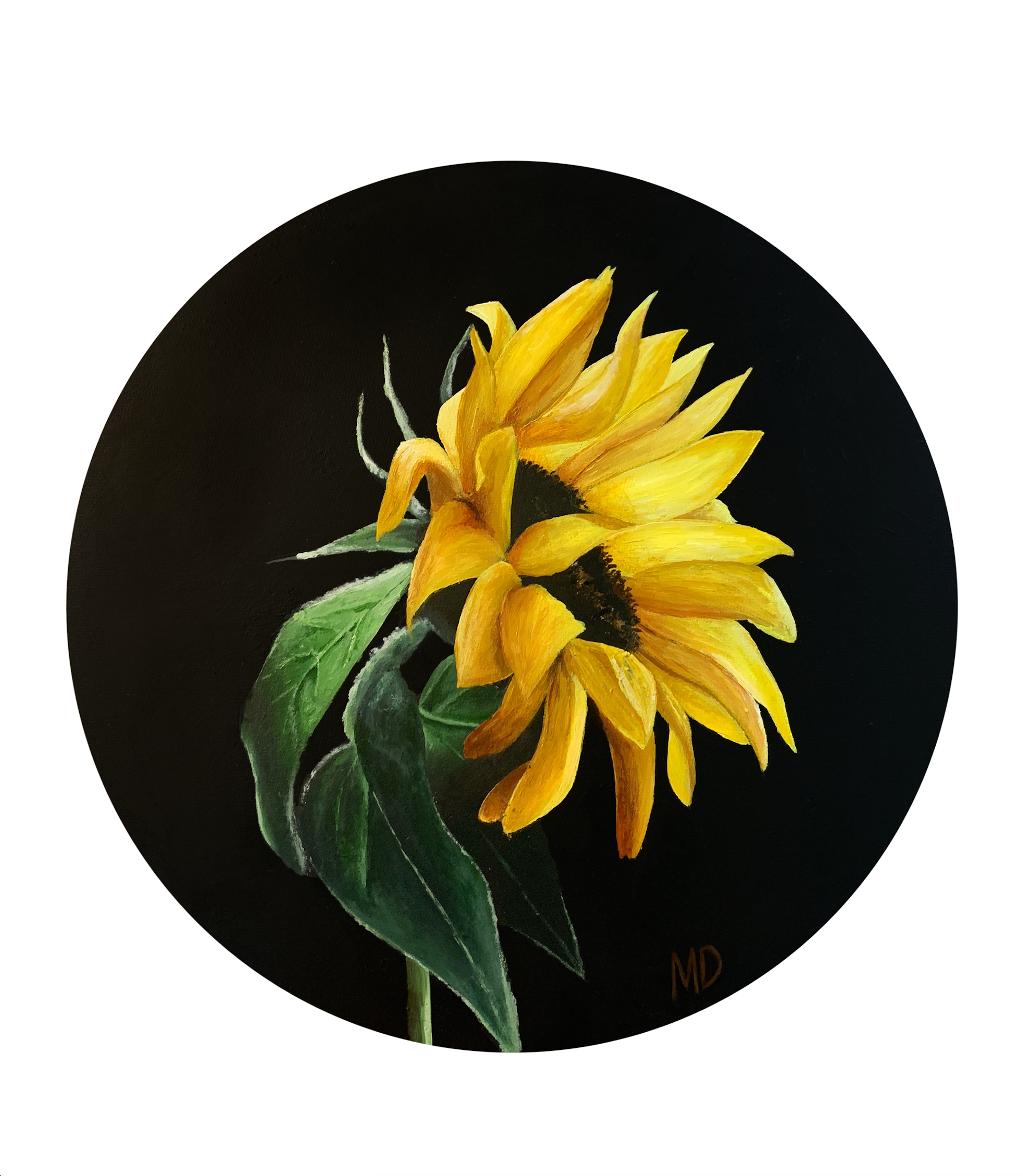 10"x10" Canvas -Lone Sunflower