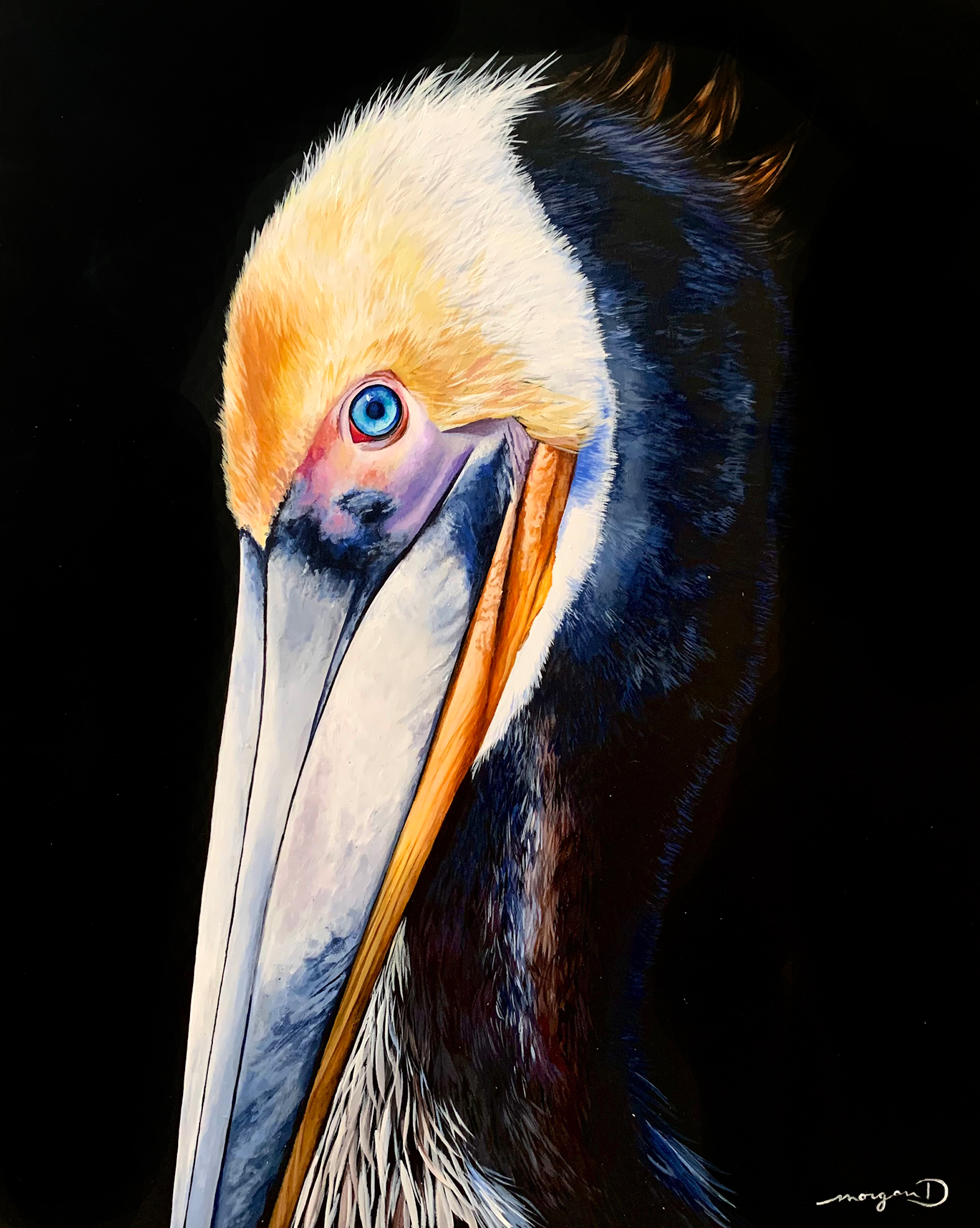 16"x20" Gessoboard - Pelican