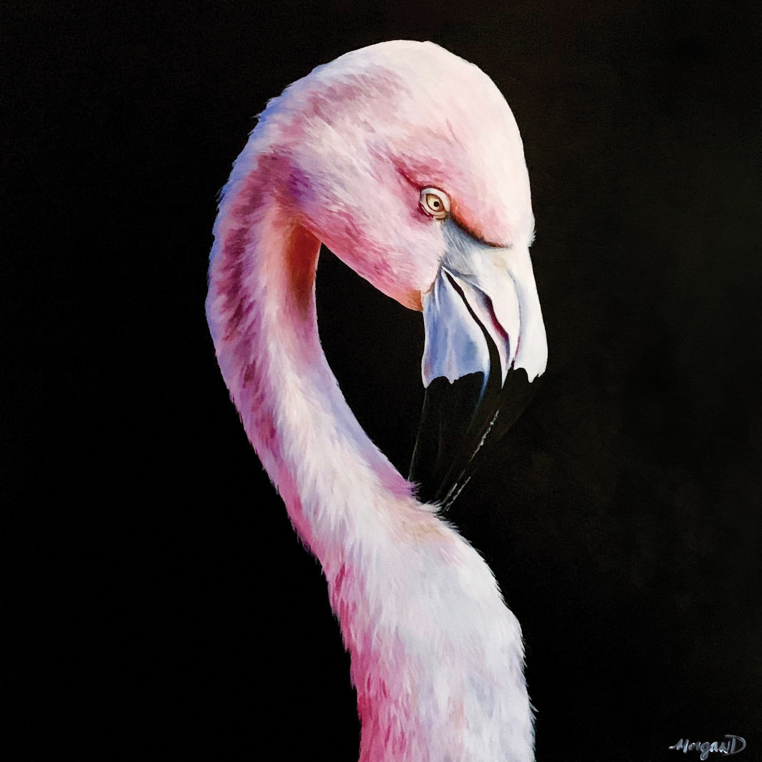 20"x20" Canvas - Flamingo