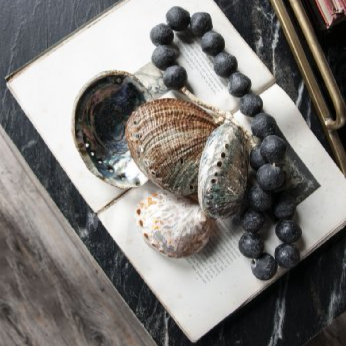 Abalone Shell - Small