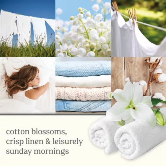 Clean Cotton Scentlight Refill