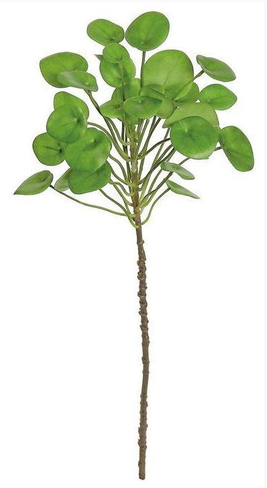 36" Money Plant - Green
