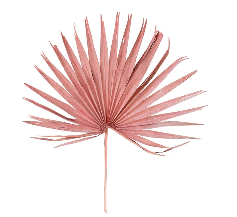 Dried Palm Leaf Bunch - Pink