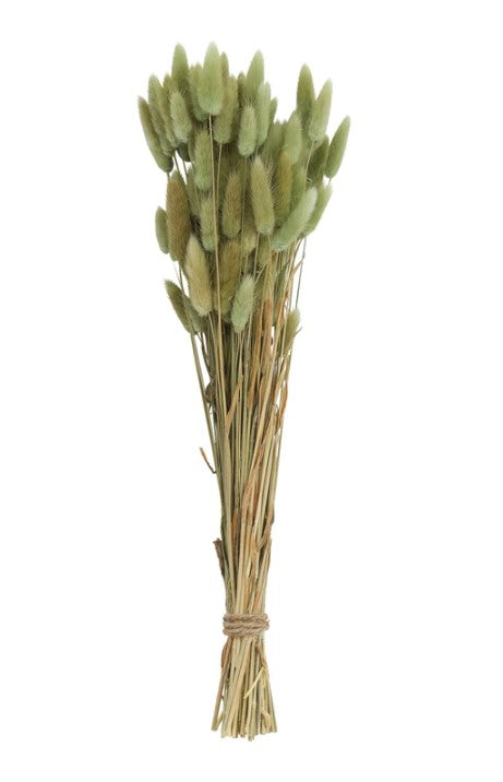 Dried Natural Bunny Tail Bunch