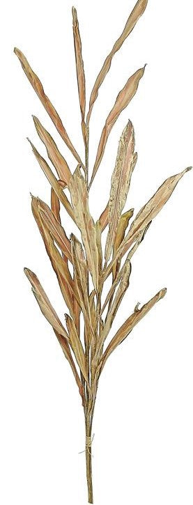45" Dried River Grass - Beige